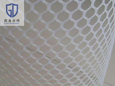 养鹅塑料平网图片3