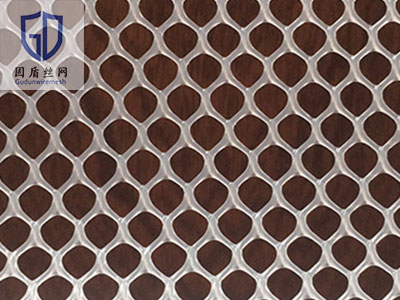 小孔育雏塑料平网图片1