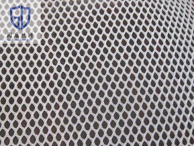 小孔育雏塑料平网图片4