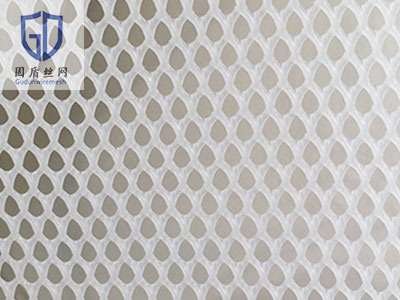 小孔育雏塑料平网图片5