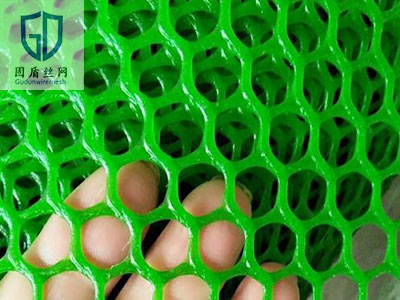 绿化塑料平网图片4 绿化塑料平网图片4