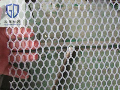 塑料编织网图片3