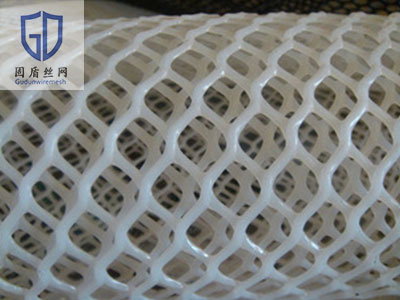 塑料编织网图片4