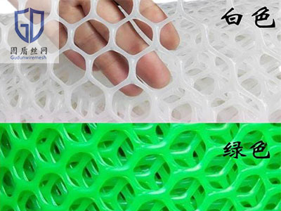 塑料育苗网图片3