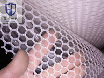 塑料育苗网图片4