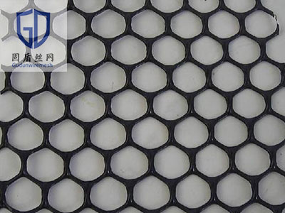 塑料土工网图片5 塑料土工网图片5