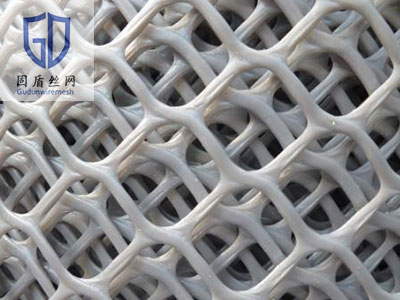 塑料土工网图片6 塑料土工网图片6