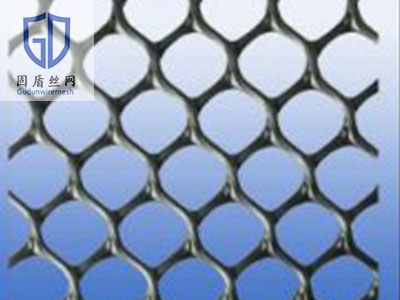 塑料土工网图片2 塑料土工网图片2