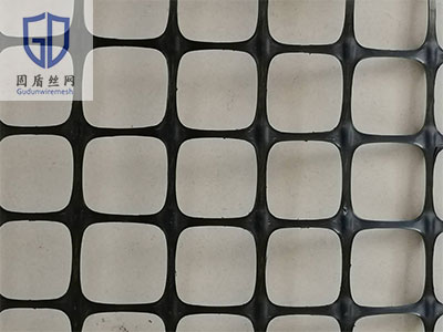 塑料土工网图片1 塑料土工网图片1